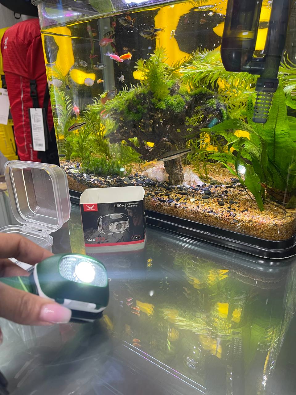 هدلامپ اسنوهاک16